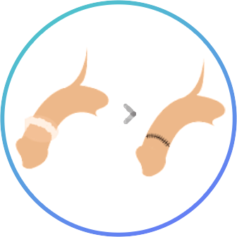 inner_about-image